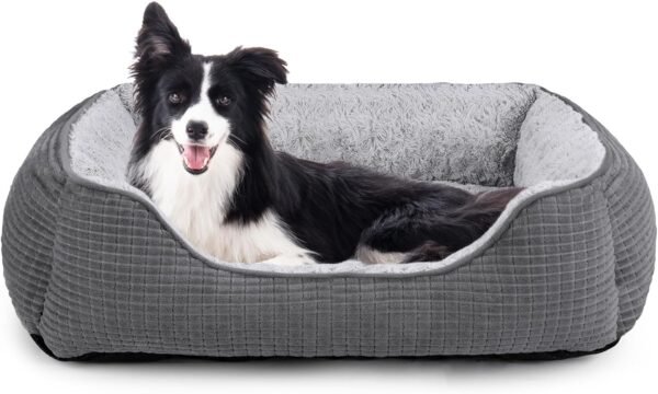MIXJOY Small Dog Bed Review
