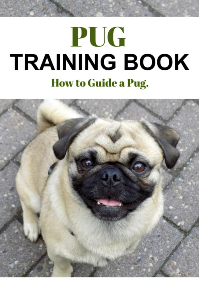 Pug Training Book: How to Guide a Pug     Paperback – October 30, 2023