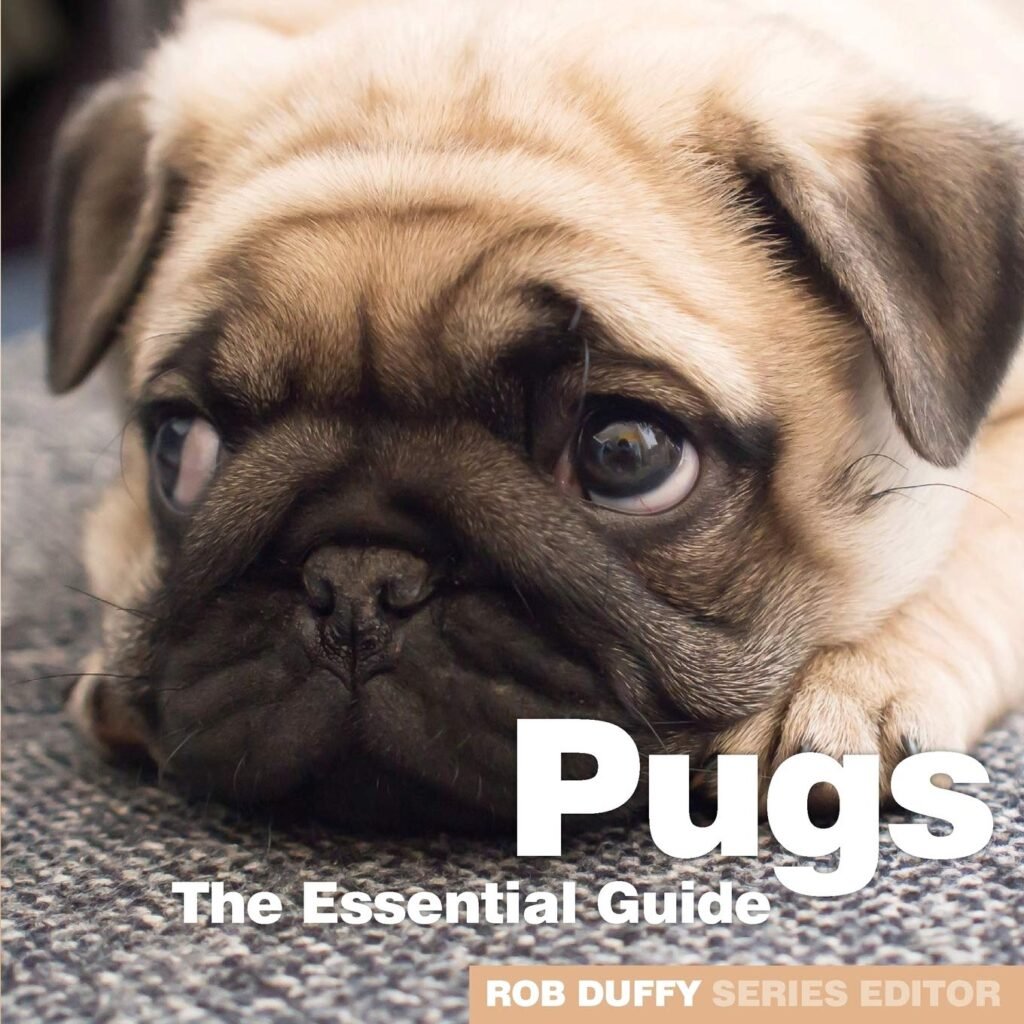 Pugs     Paperback – January 8, 2019