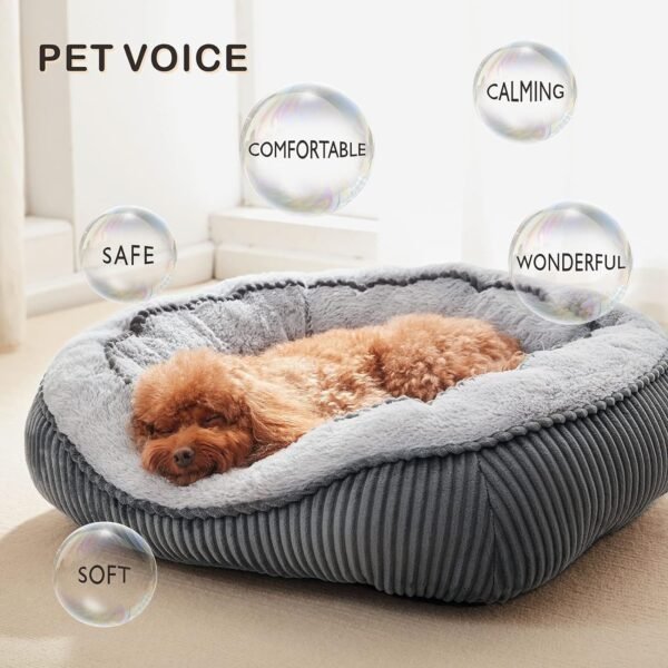 SIWA MARY Dog Beds Review