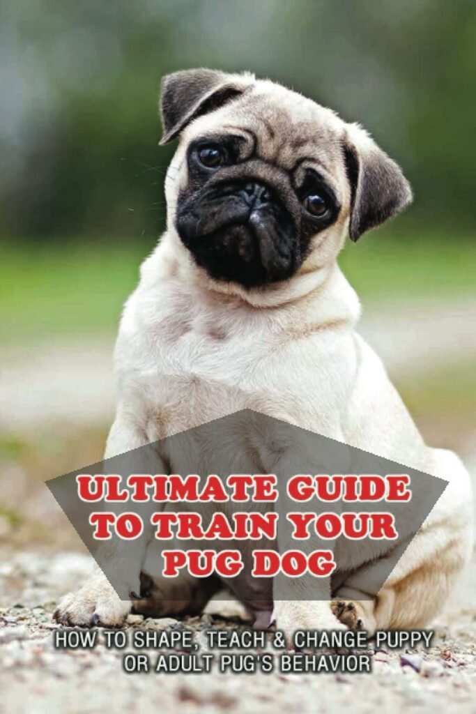 Ultimate Guide To Train Your Pug Dog: How To Shape, Teach  Change Puppy Or Adult Pugs Behavior: Pug Health Problems     Paperback – August 6, 2021