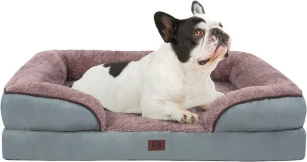 Dog Beds for Medium Dogs Review