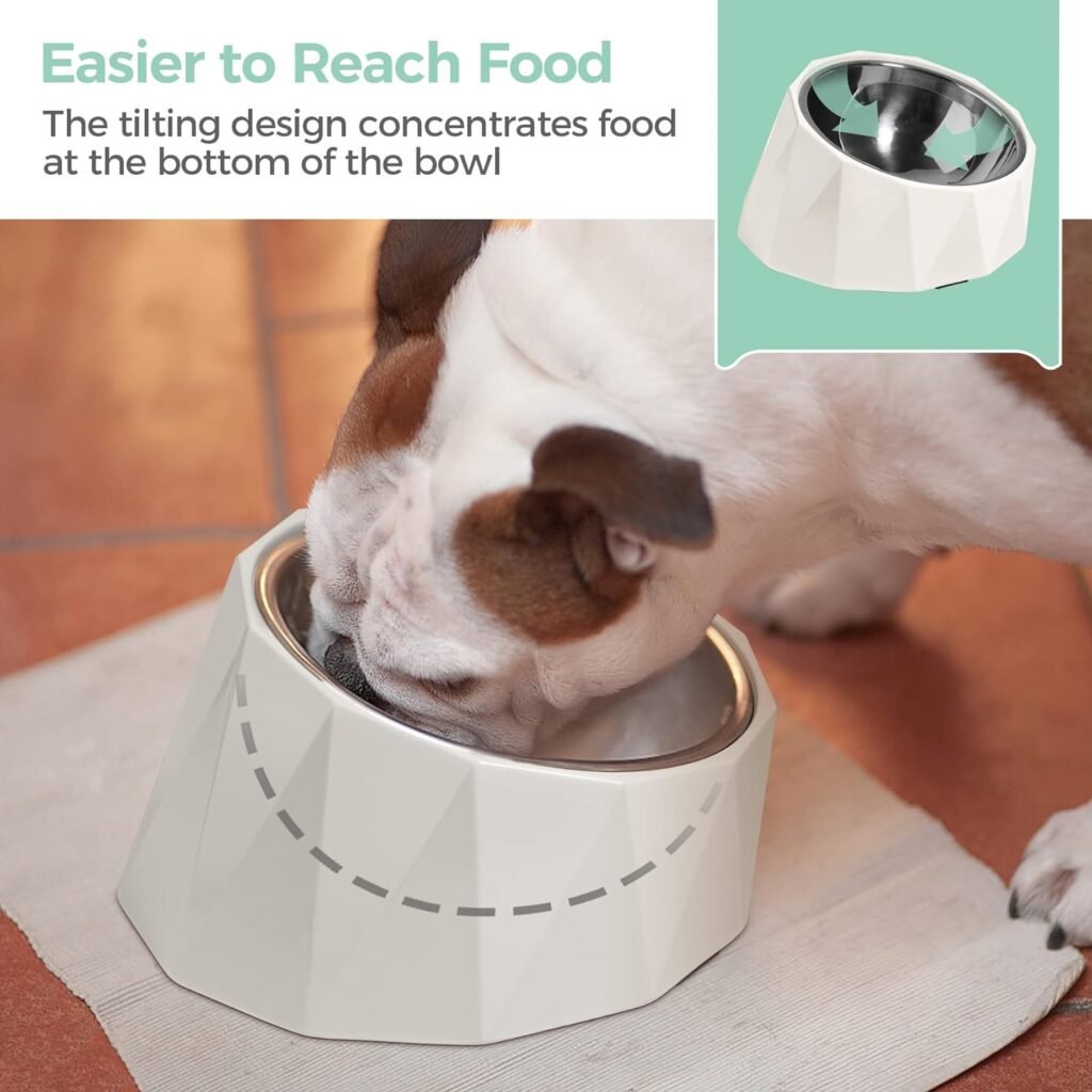 MSBC Elevated Dog Bowl for Medium Dogs, Tilted Dog Bowl Raised Dog Bowl with Detachable Melamine Stand for Medium Dogs, Non-Skid, Easier to Reach Food