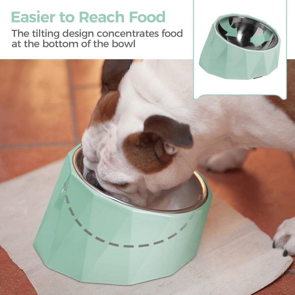 MSBC Elevated Dog Bowl for Medium Dogs, Tilted Dog Bowl Raised Dog Bowl with Detachable Melamine Stand for Medium Dogs, Non-Skid, Easier to Reach Food