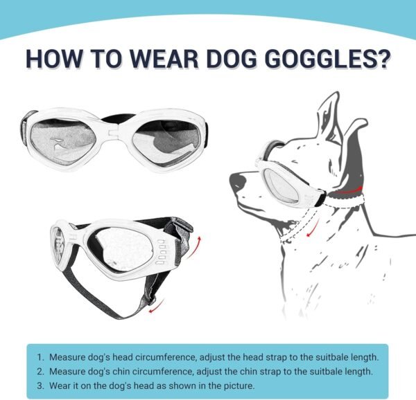 Petleso Dog Goggles Review