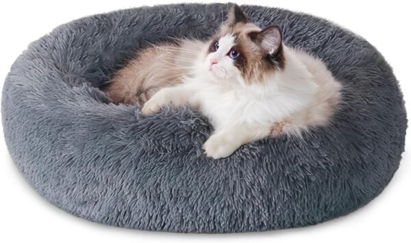 Donut Washable Small Pet Bed Review